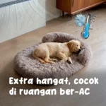 thumbnail-1490